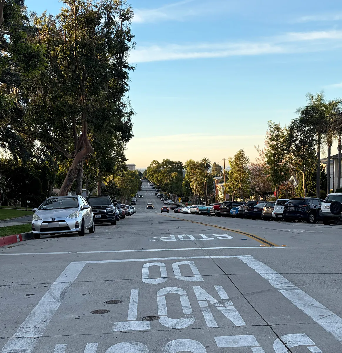 Tree-lined street in Whittier, CA, California