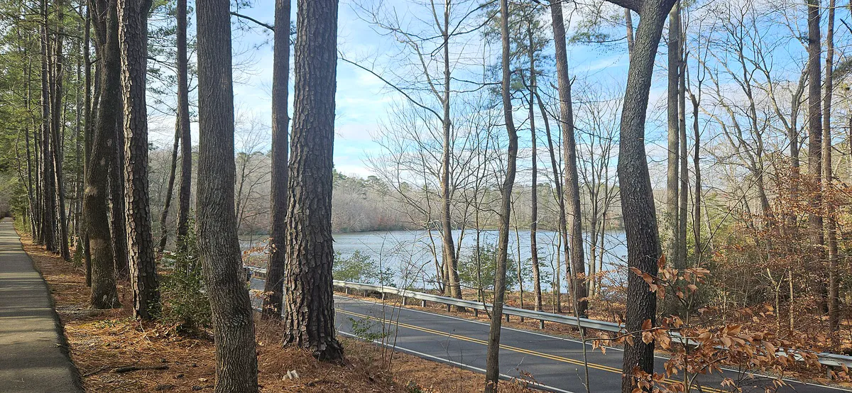 Lake near Williamsburg, VA (32937), Virginia