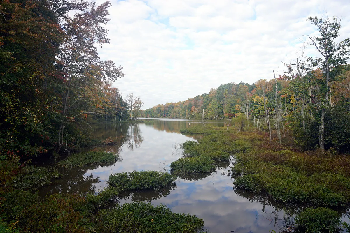Salem Lake October 2022 1 in Winston-Salem, North Carolina