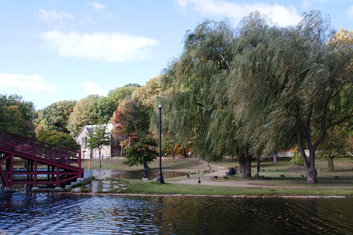 WorcesterElmParkPondFootpaths, Massachusetts